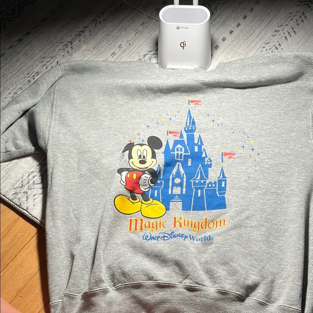 DisneyGray Magic Kingdom Sweatshirt